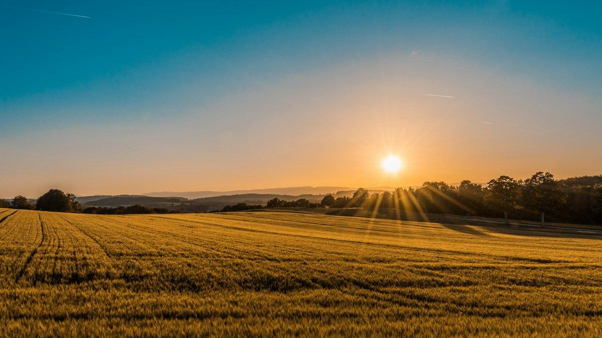 Sugarcane growers demand early crushing season