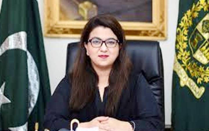 بچوں کے لیے انٹرنیٹ پر مکمل پابندی مسئلے کا حل نہیں، سوشل میڈیا پلیٹ فارمز کو بھی ذمہ داری لینا ہوگی، شزا فاطمہ